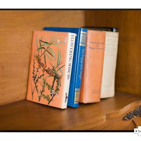 Canto Do 28, Typical Apartment Lisboa エクステリア 写真
